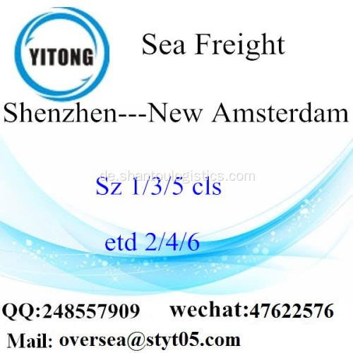 Shenzhen-Hafen LCL Konsolidierung nach New Amsterdam